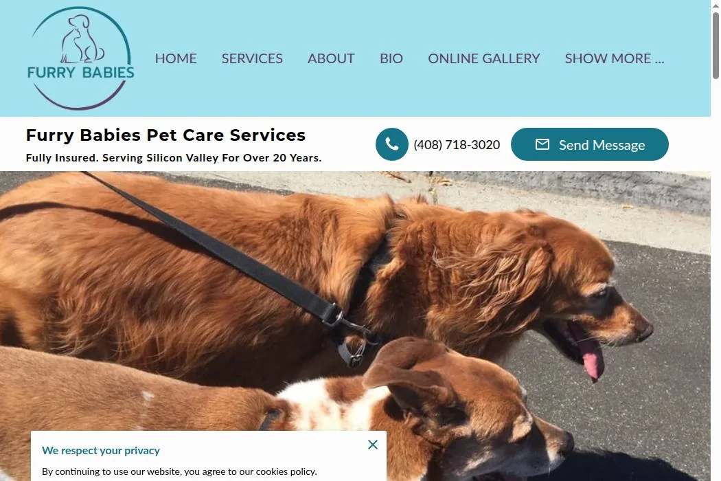 Furry Babies Pet Care Services cover