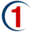 1st Choice Pro Services logo
