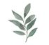 Victory Gardens logo