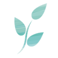 Kaya Life logo