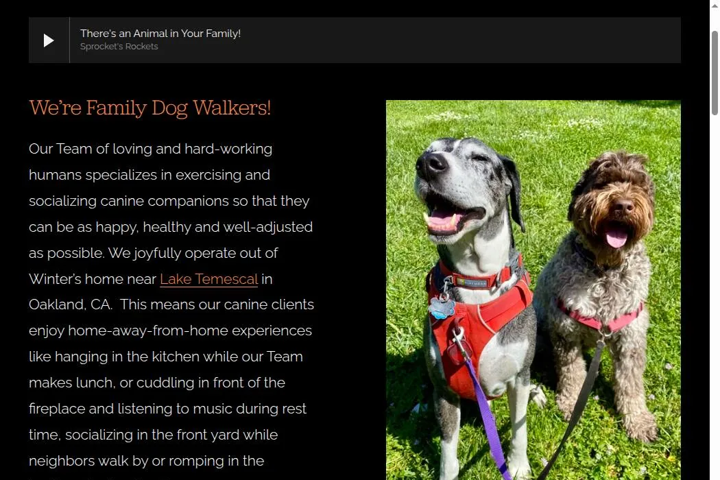 Family Dog Walkers cover