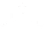 New Walk Bible Church logo