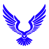 Blue Eagle General Contractors logo