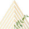 Alpine Aesthetics and Wellness logo