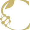 cutellamedspa-com logo