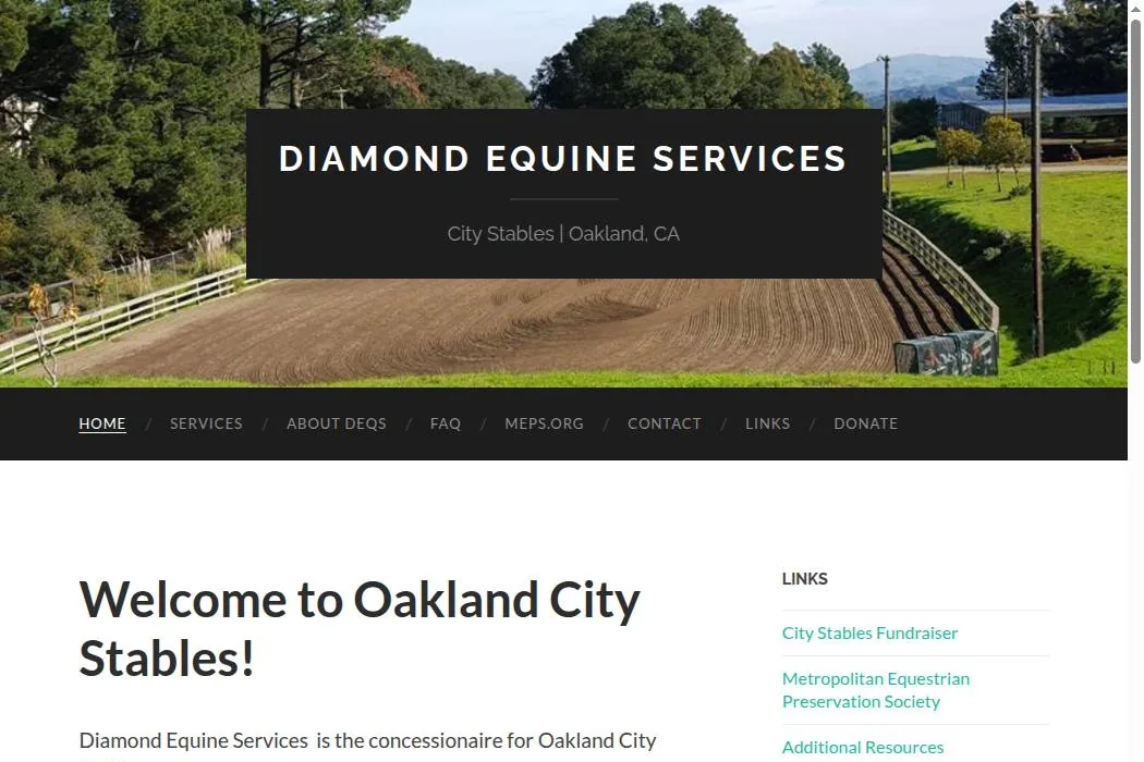 Diamond Equine Services cover