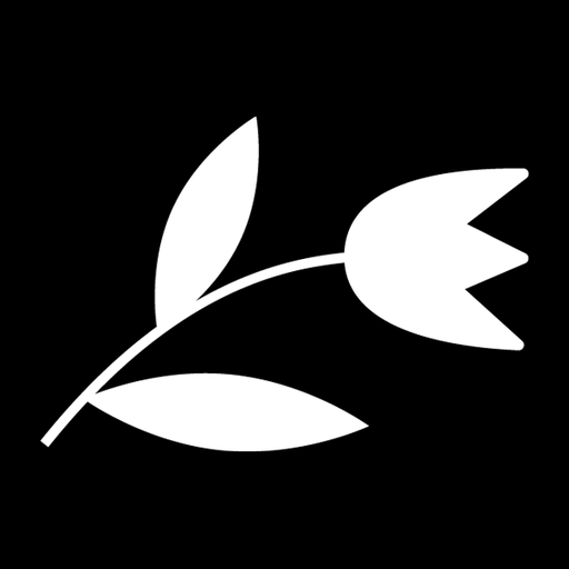Little D's Asheville Proper logo