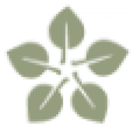 MorningStar Senior Living logo