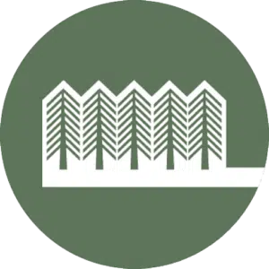Timber Dental logo