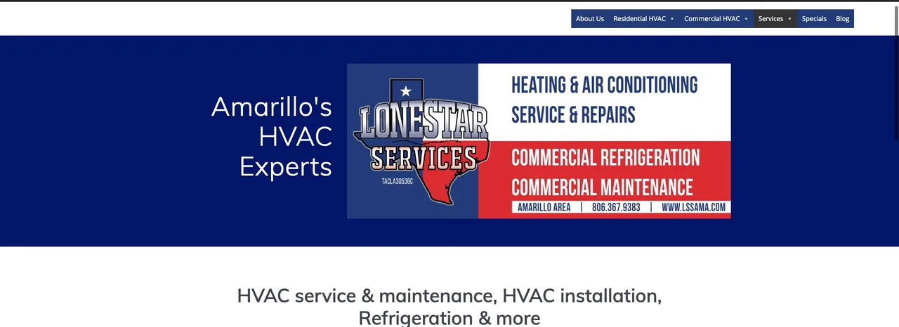 Lonestar Services cover