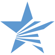Lone Star Pro Services logo