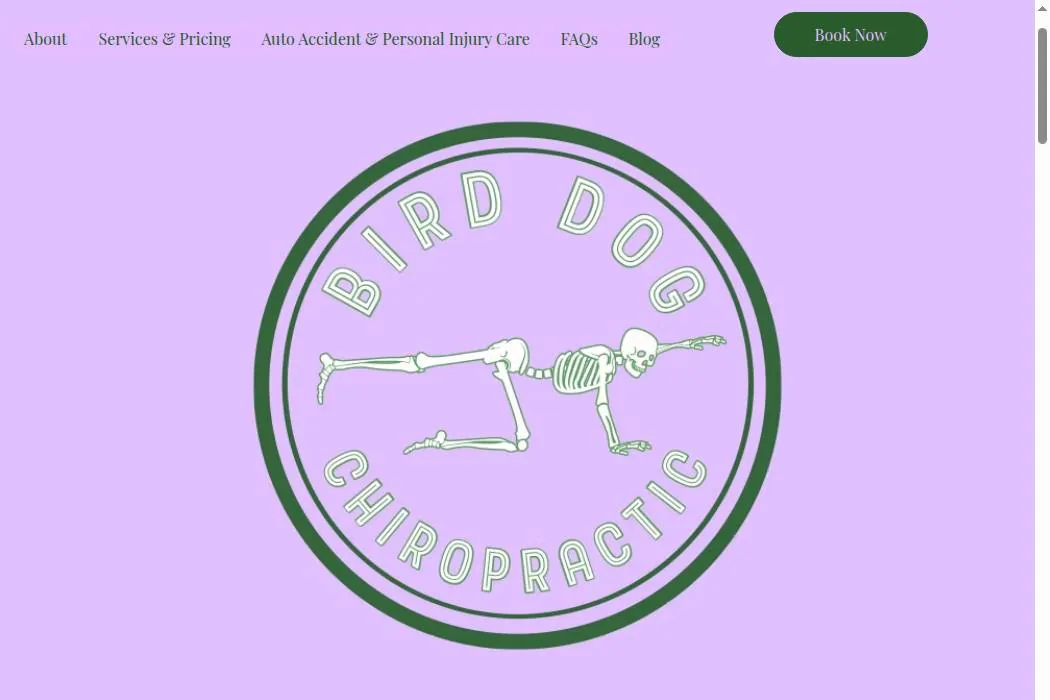 Bird Dog Chiropractic cover