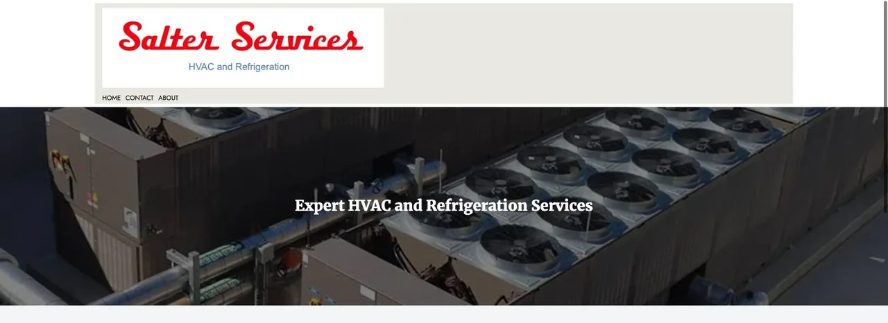 Salter Services cover