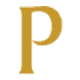 Paragon Plastic Surgery & Medspa logo