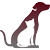 Quito Veterinary Hospital logo