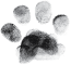 Bowie Barker logo