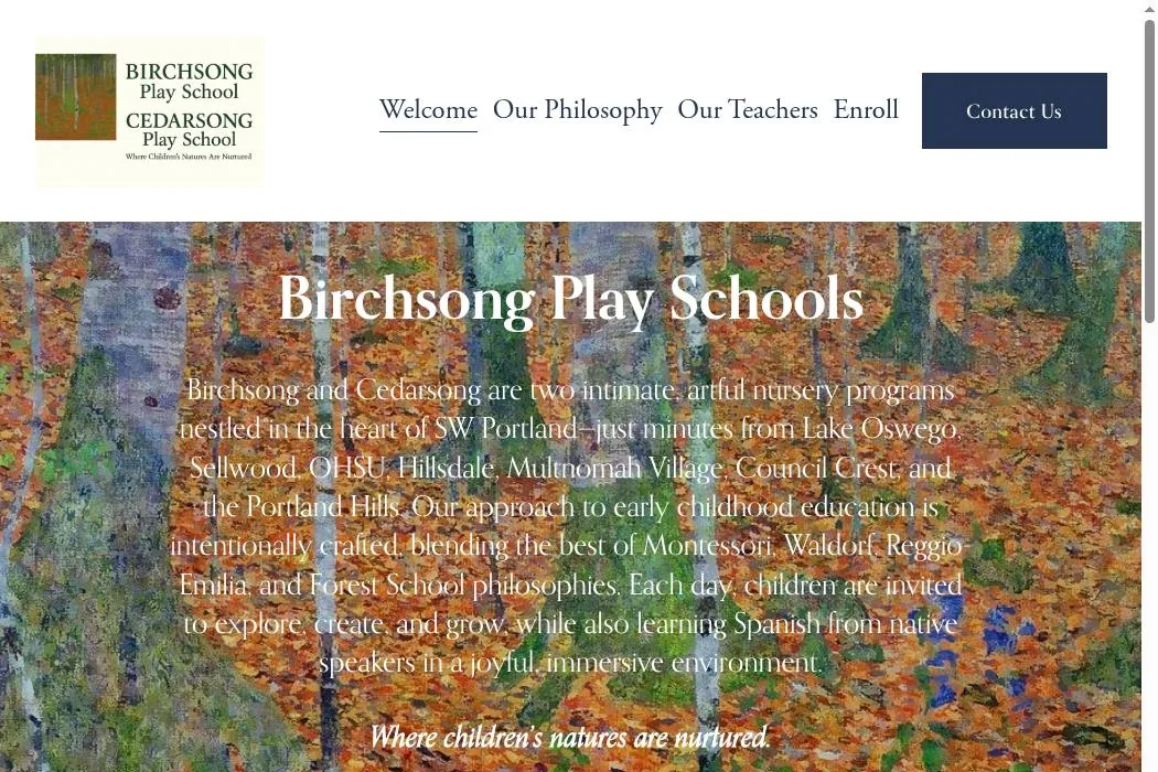 Birchsong Play Schools cover