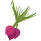 The TaSH Farmers Market logo