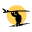 Tortugas' Lie logo