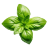 The Basil Leaf Sushi and Thai Restaurant logo