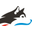 HC Air Pro logo