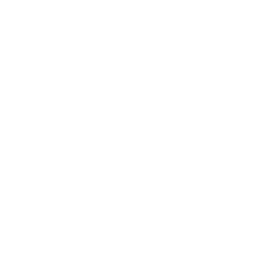Provision Insurance logo