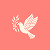 LiVi Skin Studio logo