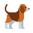 Suzanne's Dog Boarding logo