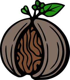 Nutmeg Market logo