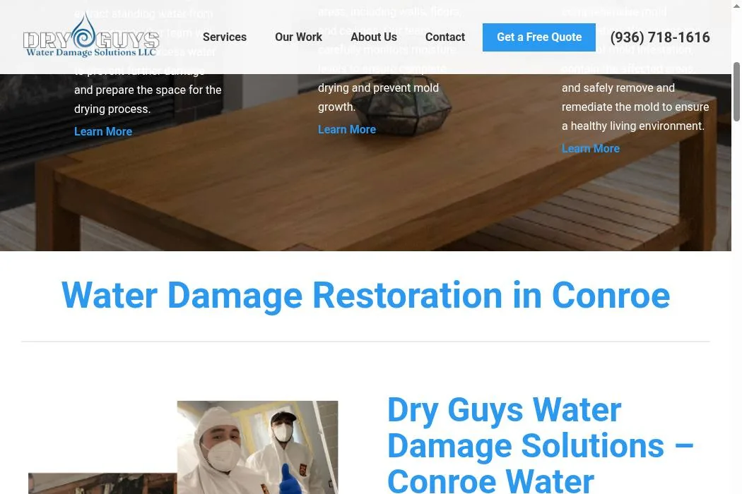Dry Guys Water Damage Solutions cover
