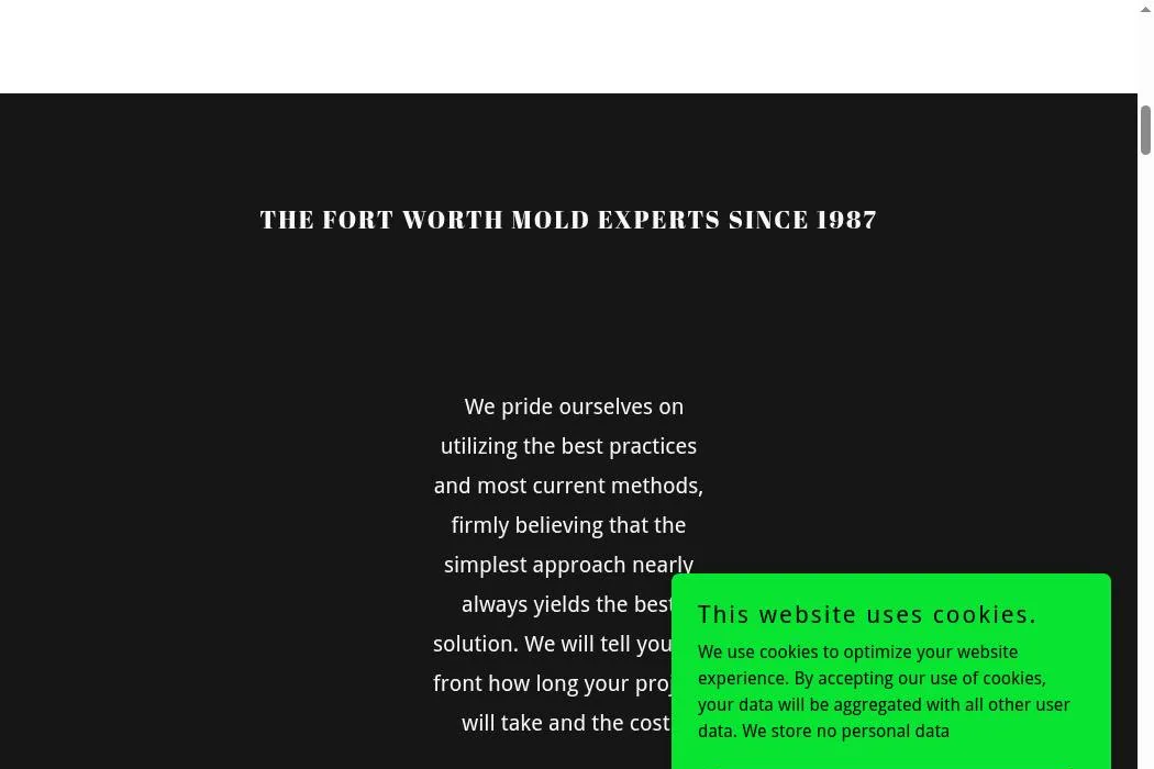Fort Worth Mold Removal cover
