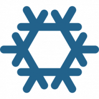 Everesst Services Tech LLC logo