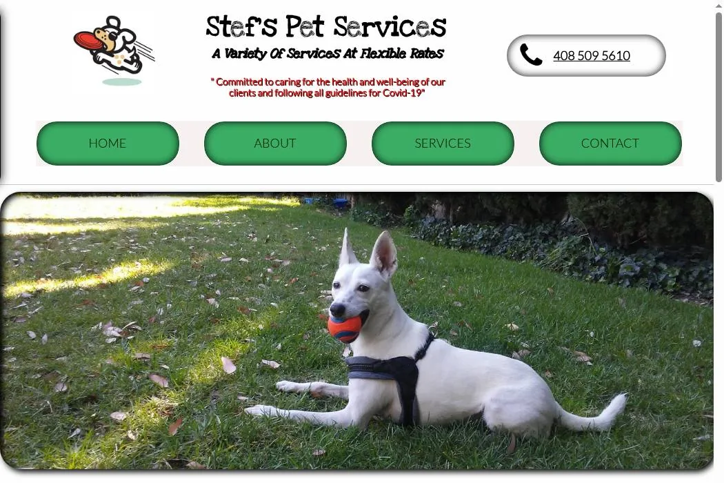 Stef's Pet Services cover