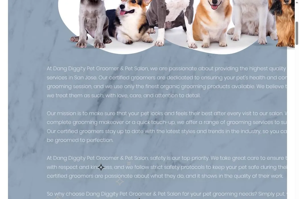 Dang Diggity Dog cover