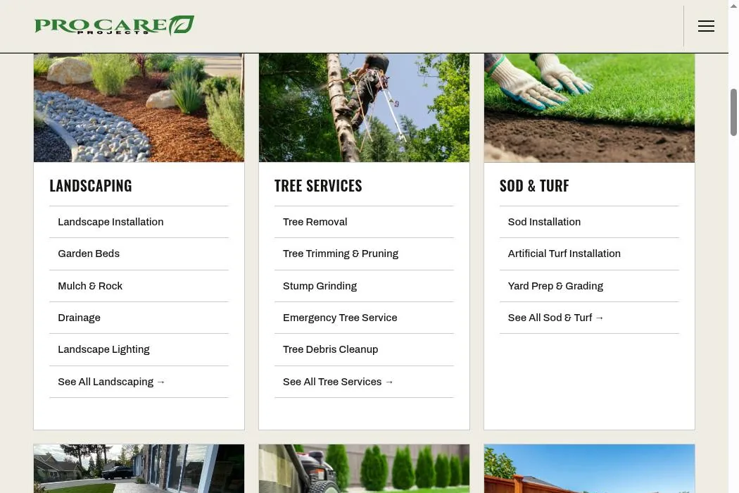 Pro Care Projects cover