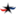 Star Service logo