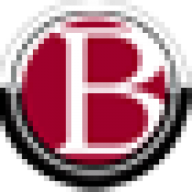 Brazill Team Real Estate logo