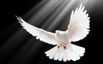 Spirit & Life Church of Central Virginia logo