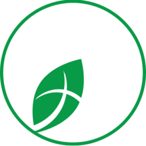 Life Chapel logo