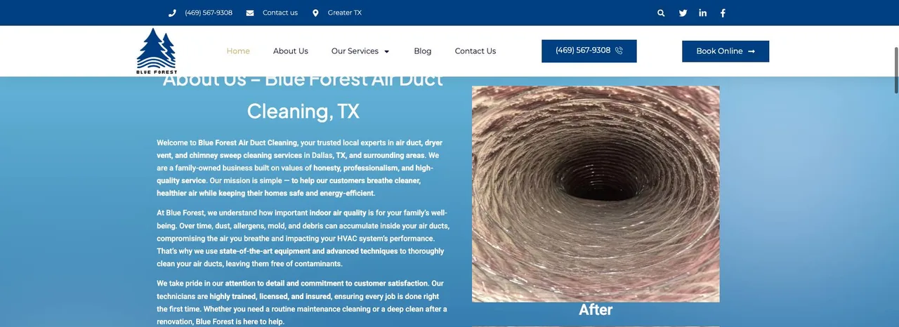 Blue Forest Air Duct Cleaning cover