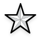 Texas Pride Heating & Air logo