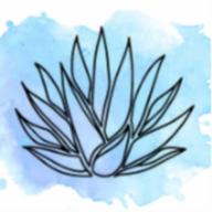 Agave Plumbing, LLC logo