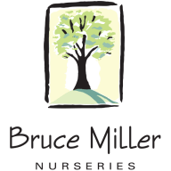 Bruce Miller Nursery logo
