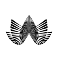Lily Medical Aesthetics & Wellness logo