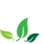 Silver Spring Counseling logo