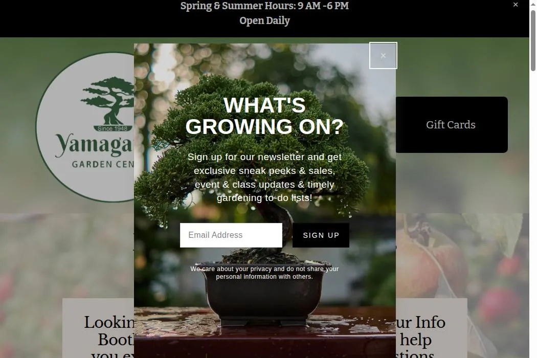 Yamagami’s Garden Center cover