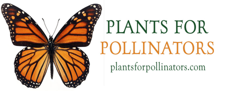 Plants For Pollinators logo