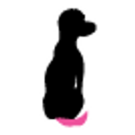 Sit Down & Beyond logo