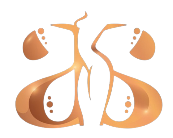 skinsationalmedspa-com logo
