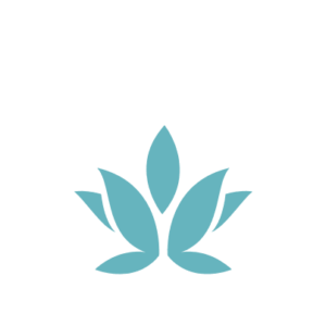 Peak Aesthetics and Wellness logo